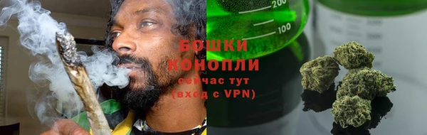 PSILOCYBIN Бородино