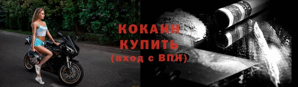 PSILOCYBIN Бородино